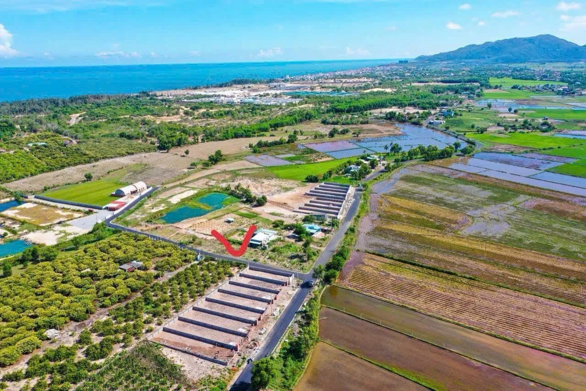 Đất bán Phước Hội Bà Rịa Vũng Tàu 193.6m2 giá 1 tỷ 900 triệu - Ảnh thu nhỏ 4