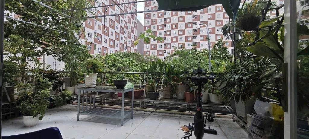 Bán nhà phố 4 tầng 90m2 (5x18) đường Cây Keo, Tam Phú, Thủ Đức giá 11,5 tỷ - Ảnh thu nhỏ 5