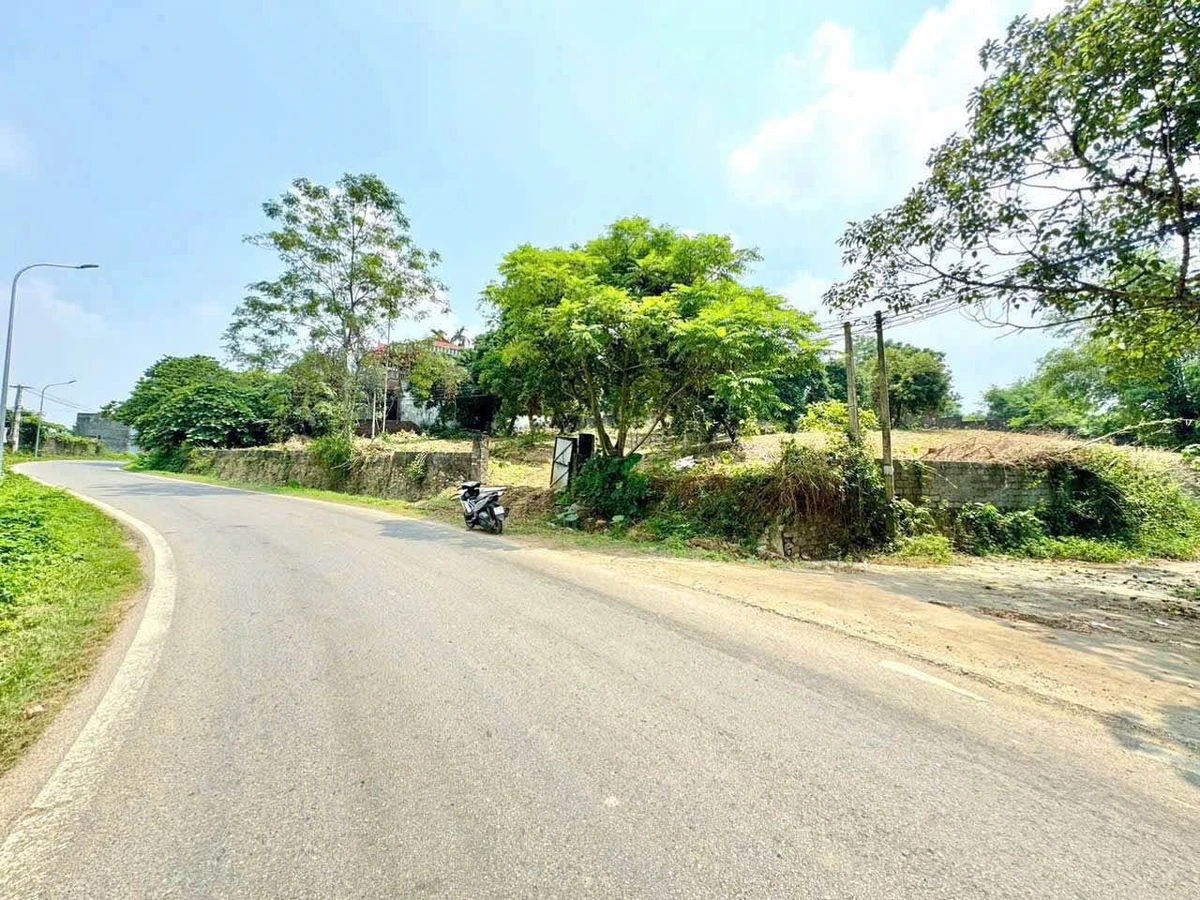 Bán lô góc 2 mặt tiền 2229m² Nhuân Trạch Hòa Bình 20 tỷ - Ảnh 1