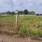 Bán nền đất 5x29m Tân Trụ Long An, sổ sẵn - Ảnh thu nhỏ 1