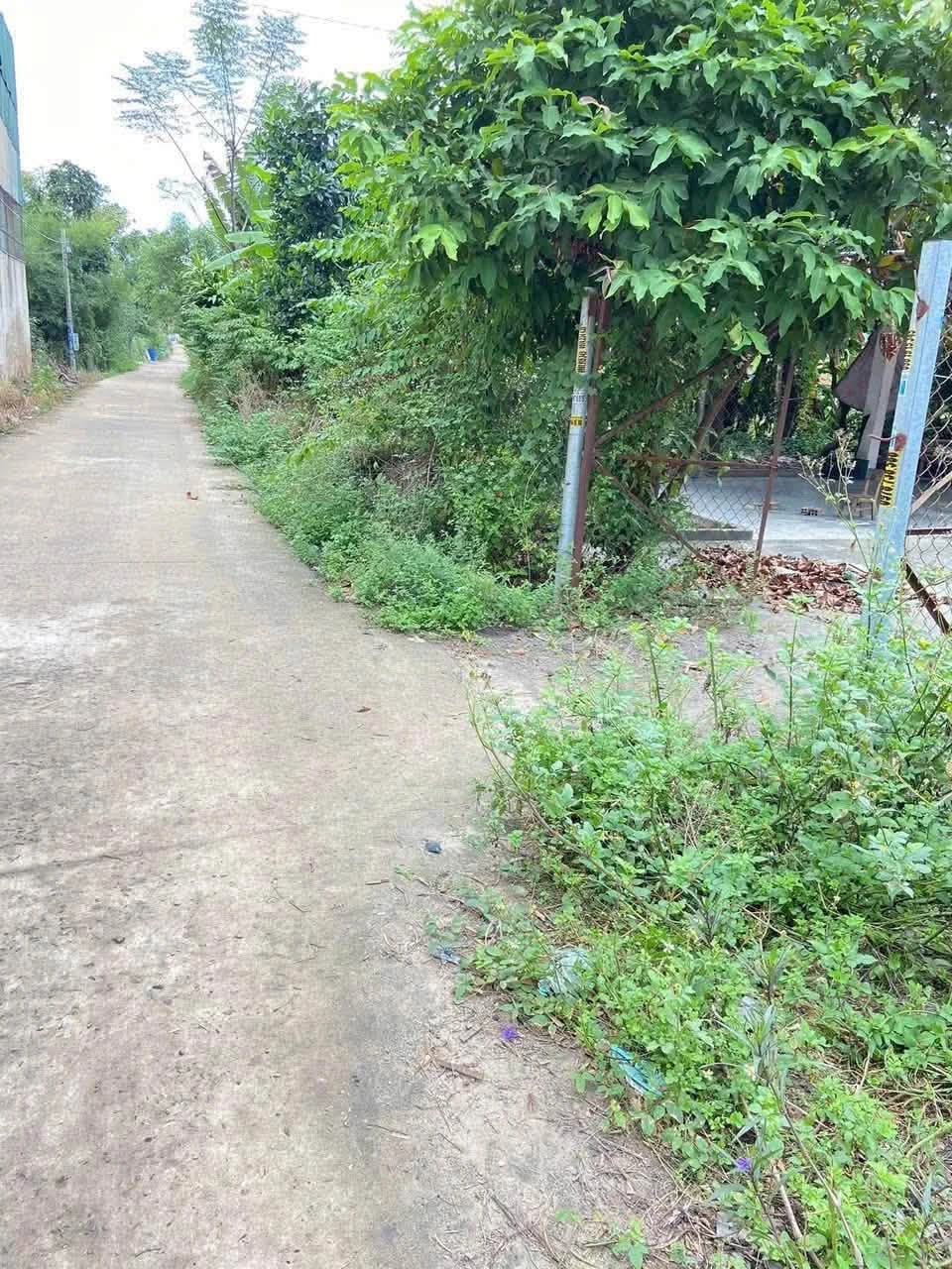 Bán đất Minh Hưng 100m² 830 triệu - Ảnh 1