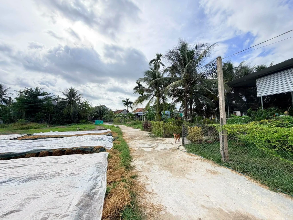 Bán đất 105m² tại Phong Phú, Nhà Bè 270 triệu - Ảnh thu nhỏ 3