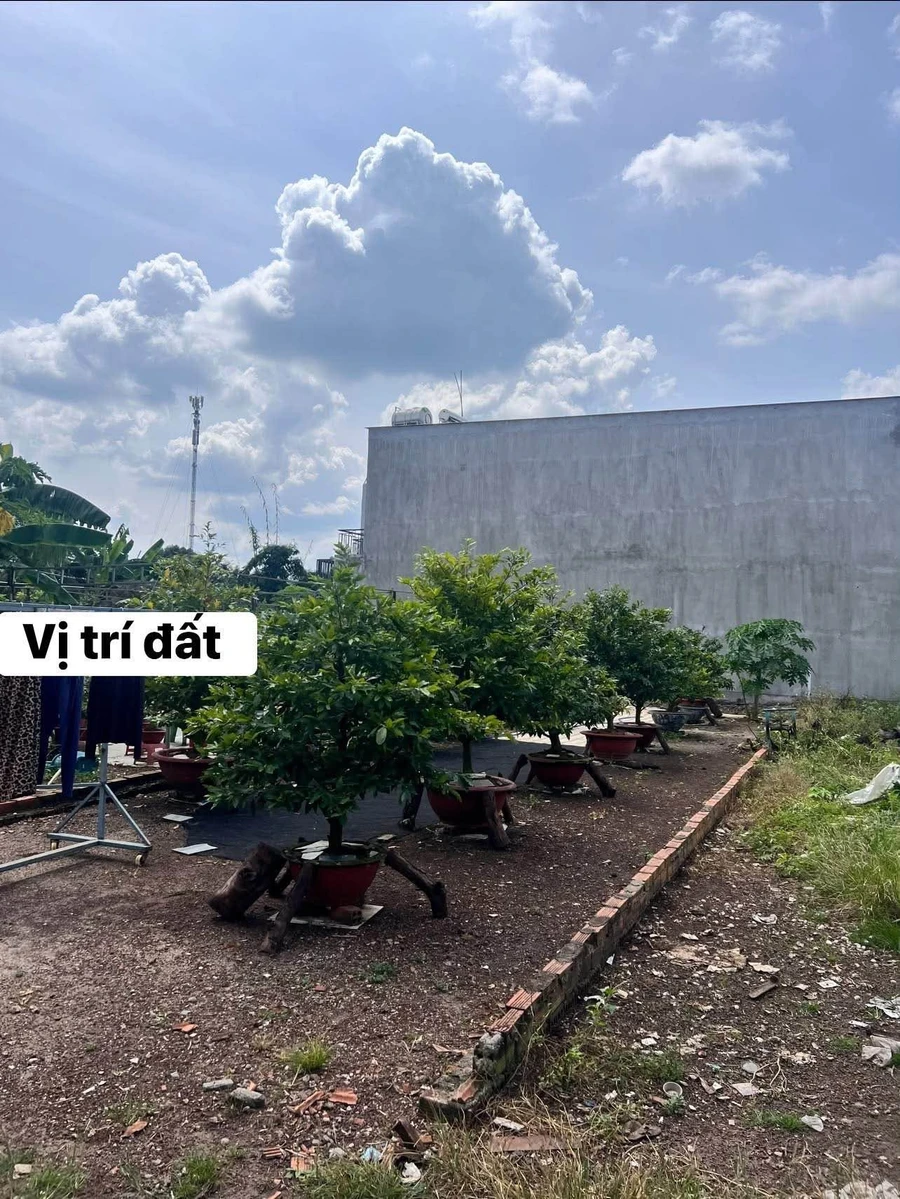 Bán đất nền 5x23m (115m²) giá 990 triệu Long Khánh - Ảnh thu nhỏ 4
