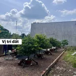 Bán đất nền 5x23m (115m²) giá 990 triệu Long Khánh - Ảnh thu nhỏ 4