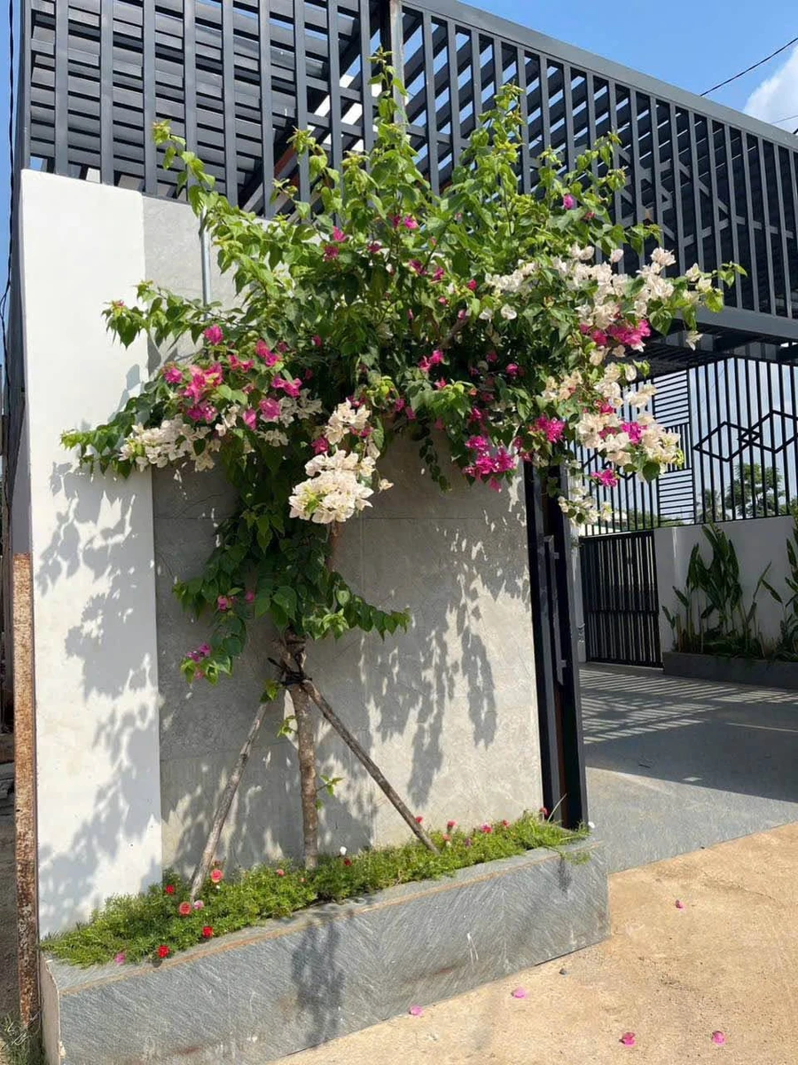 Bán nhà góc 2 mặt tiền Y Wang Nối Dài 75m² Buôn Ma Thuột - Ảnh thu nhỏ 3