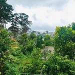 Bán nhà Khởi Nghĩa 286m² 8.5 tỷ Phường 10 Quận 12 - Ảnh thu nhỏ 5
