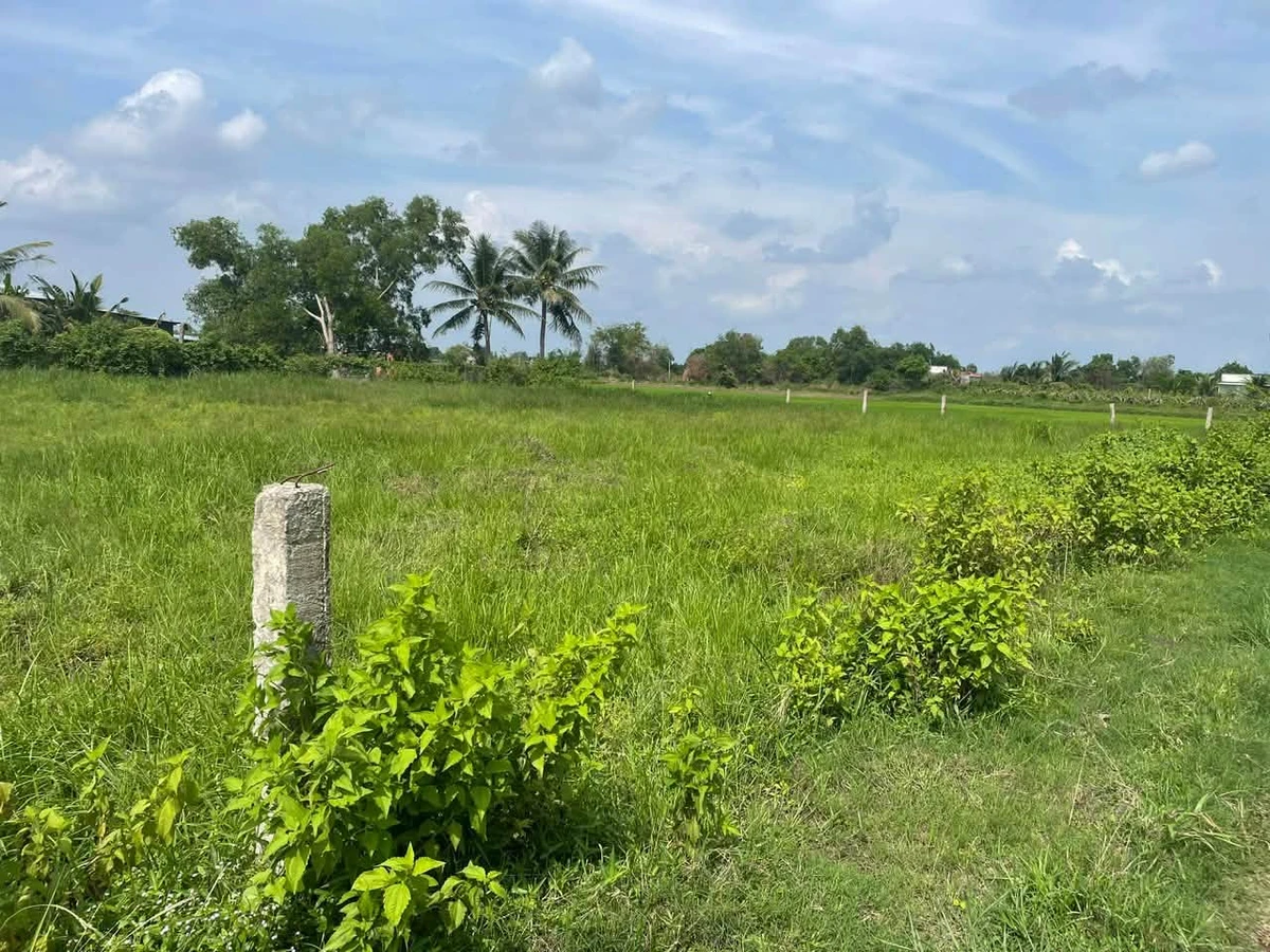 Bán đất lúa 1500m² Hàm Liêm Lâm Đồng 550 triệu - Ảnh thu nhỏ 2