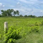 Bán đất lúa 1500m² Hàm Liêm Lâm Đồng 550 triệu - Ảnh thu nhỏ 2