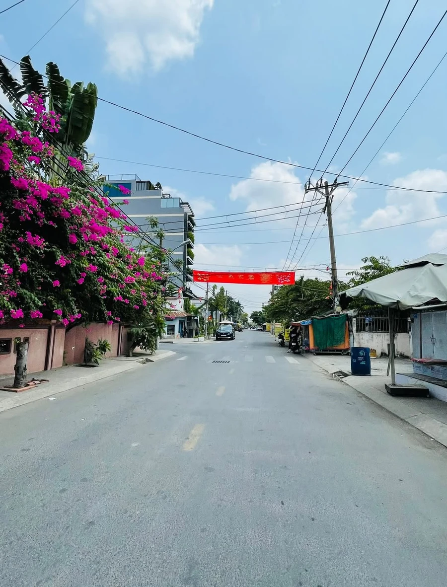 Bán đất hẻm Dương Quảng Hàm Gò Vấp 270m² 34 tỷ - Ảnh 1