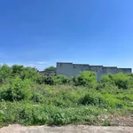 Bán lô đất thổ cư mặt tiền 103m2 Tuyên Quang, Lâm Đồng - Ảnh thu nhỏ 3