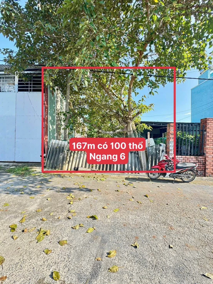 Bán lô đất 167m2 gần biển Long Hải, chân núi Minh Đạm, giá 2,3 tỷ - Ảnh thu nhỏ 2