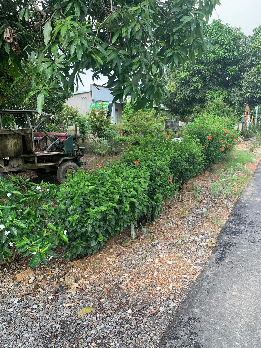 Bán đất thổ cư mặt tiền đường nhựa 10x150m nở hậu tại xã Phú Lý, Vĩnh Cửu, Đồng Nai - Ảnh 1