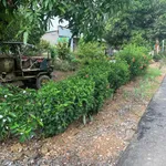 Bán đất thổ cư mặt tiền đường nhựa 10x150m nở hậu tại xã Phú Lý, Vĩnh Cửu, Đồng Nai - Ảnh thu nhỏ 1