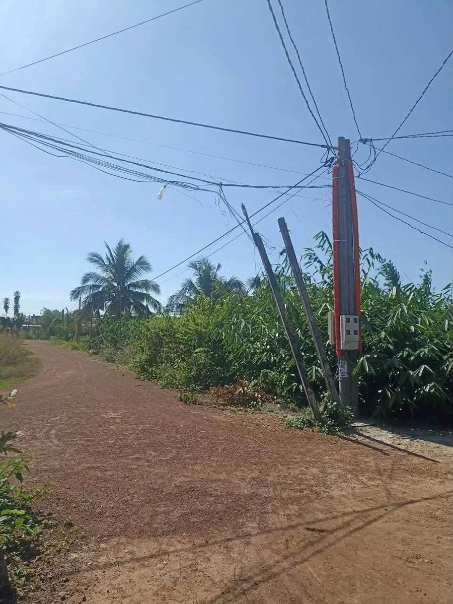 Bán 5 công 3 đất ở Phước Minh, Tây Ninh giá 1 tỷ 3 - Ảnh thu nhỏ 3