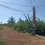 Bán 5 công 3 đất ở Phước Minh, Tây Ninh giá 1 tỷ 3 - Ảnh thu nhỏ 3