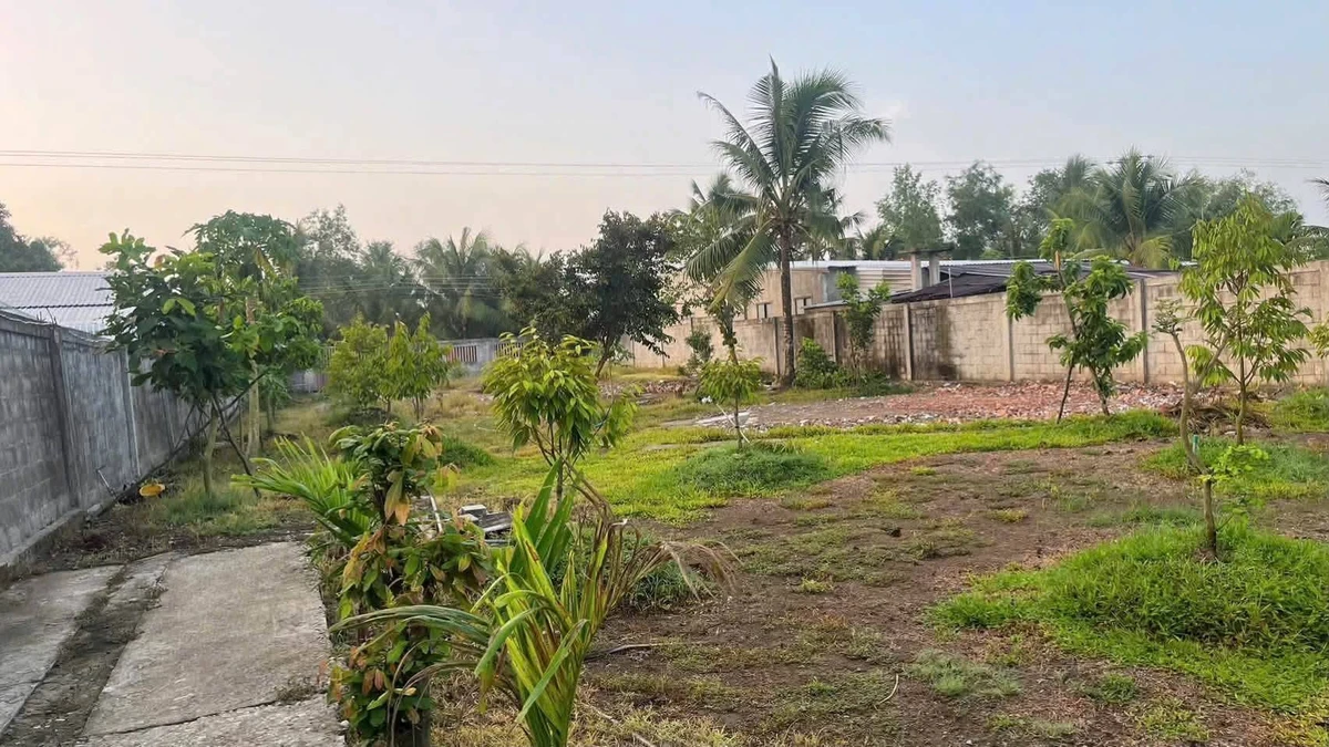 Bán nhà vườn 1.830 m² mặt tiền Đường Huyện 16, Thới Lai, Cần Thơ - Ảnh thu nhỏ 3