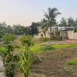 Bán nhà vườn 1.830 m² mặt tiền Đường Huyện 16, Thới Lai, Cần Thơ - Ảnh thu nhỏ 3