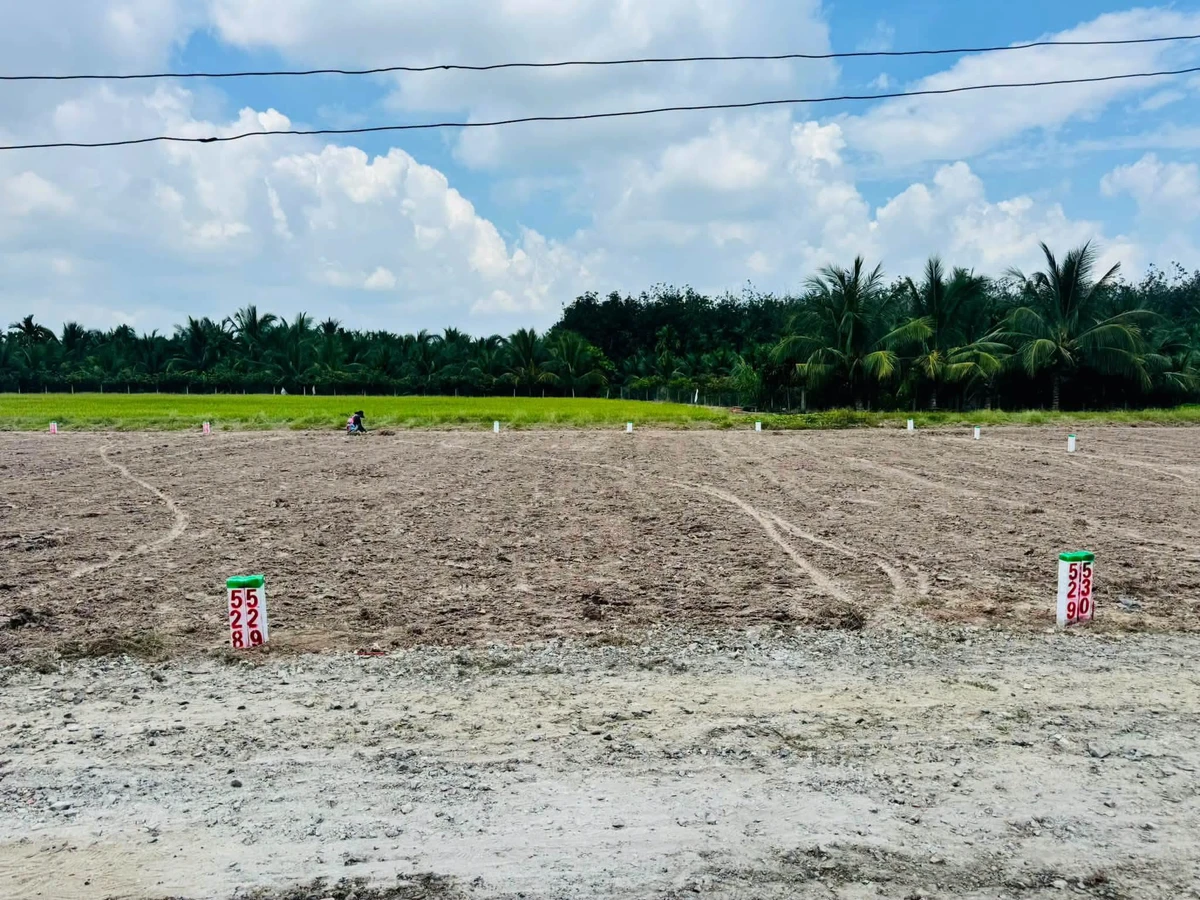 Bán đất thổ cư 5x25m Bình Lợi, Tây Ninh 169 triệu - Ảnh thu nhỏ 2
