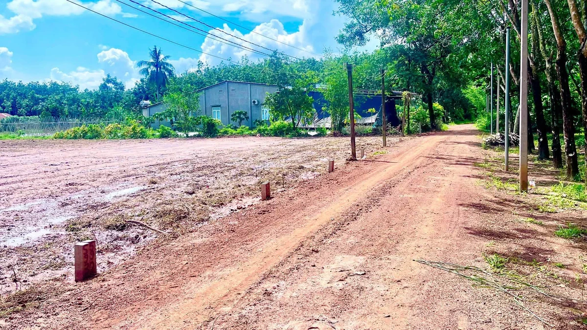 Bán đất 50m² giá 250 triệu Chùm Dừa Châu Thành Tây Ninh - Ảnh 1