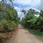 Bán đất Xã Kim Long 54000m² giá 2 tỷ - Ảnh thu nhỏ 1