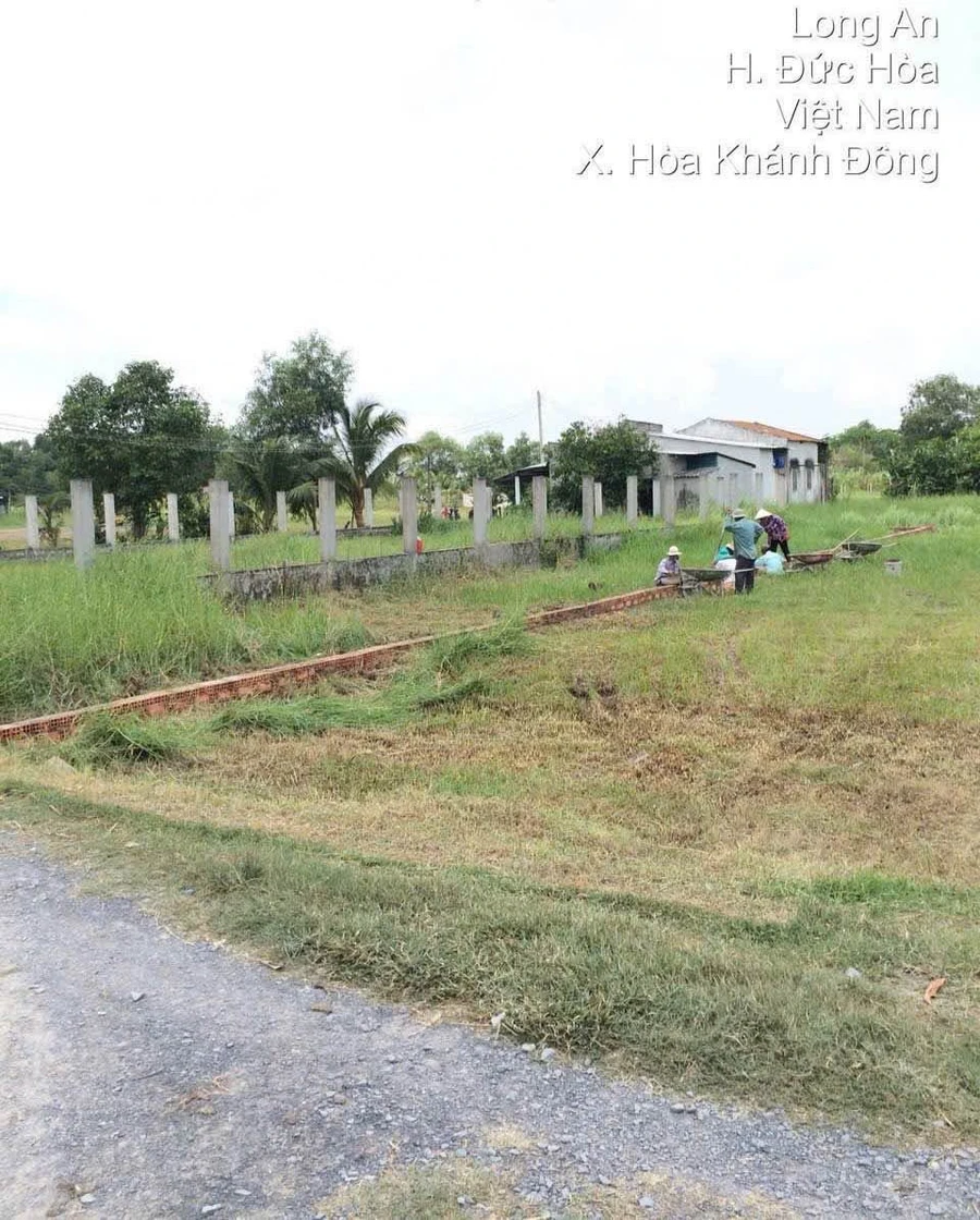 Bán đất thổ cư mặt tiền đường bê tông 5x33m, Hòa Khánh Đông, Đức Hòa, Long An - Ảnh thu nhỏ 2