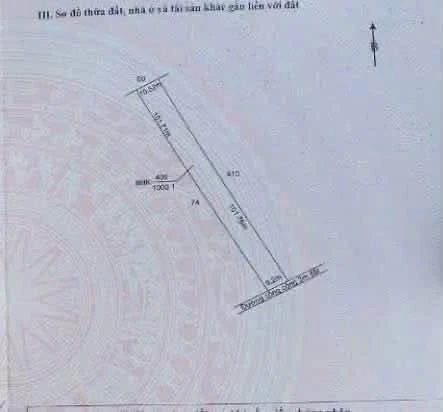Bán đất vườn 1000m² Bình Đức Bến Lức Long An 590 triệu - Ảnh thu nhỏ 4