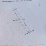 Bán đất vườn 1000m² Bình Đức Bến Lức Long An 590 triệu - Ảnh thu nhỏ 4