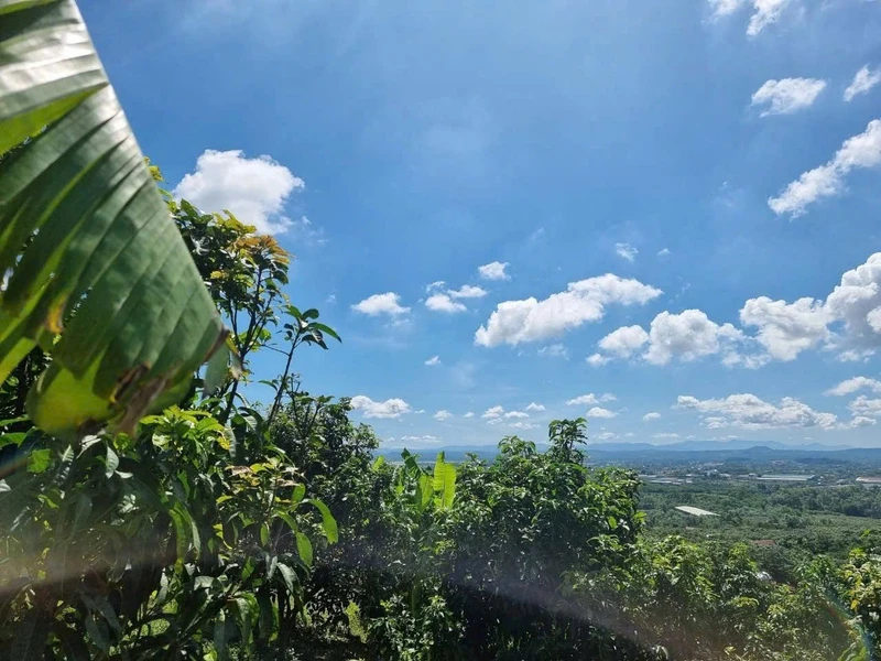 Bán đất vườn 1.200m² view hồ Trị An, Định Quán