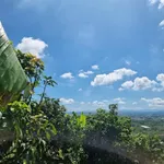 Bán đất vườn 1.200m² view hồ Trị An, Định Quán - Ảnh thu nhỏ 1