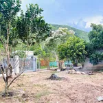 Nhà vườn 412m² bán 2 tỷ 568 triệu Liên Xã - Ảnh thu nhỏ 3