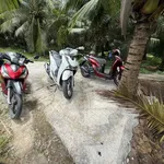 Bán nền 345m² phường Phú Hưng, Bình Chánh 270 triệu - Ảnh thu nhỏ 1
