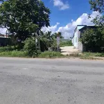 Bán lô đất 343m2 mặt tiền Tân Hội, Tân Mỹ, Hóc Môn - Ảnh thu nhỏ 3
