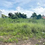 Bán đất Bờ Đông Lâm Đồng 150.5m² giá 2 tỷ 300 triệu - Ảnh thu nhỏ 2