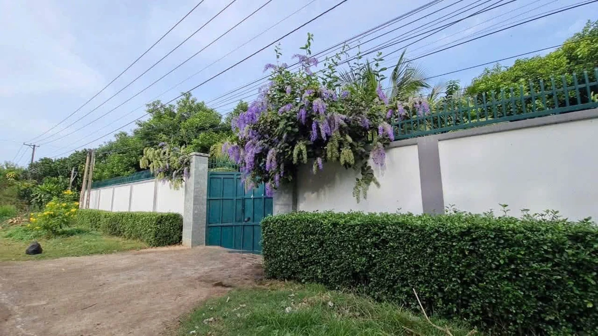 Bán nhà vườn 5.000m² tại Long Khánh, Đồng Nai - Ảnh thu nhỏ 4