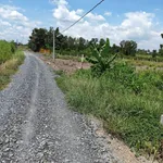 Bán đất vườn 3000m² Thạnh Hoà Bến Lức Long An 2 tỷ 550 - Ảnh thu nhỏ 1