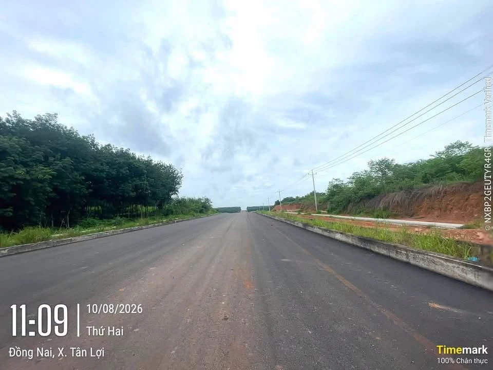 Bán đất nền 100m² Tân Hoà, Đồng Phú, giá 550 triệu - Ảnh thu nhỏ 2