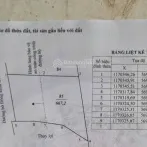 Bán đất tại Mỹ Hòa, Tháp Mười, Đồng Tháp, 2 tỷ 150, 667 m2 có 200m2 TC - Ảnh thu nhỏ 5