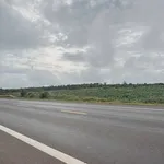 Bán đất 1,3 hecta mặt đường tránh Đông Đắk Lắk - Ảnh thu nhỏ 4