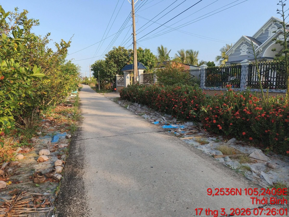 Bán đất nền 20 công Cà Mau, giá ngộp ngân hàng - Ảnh thu nhỏ 2