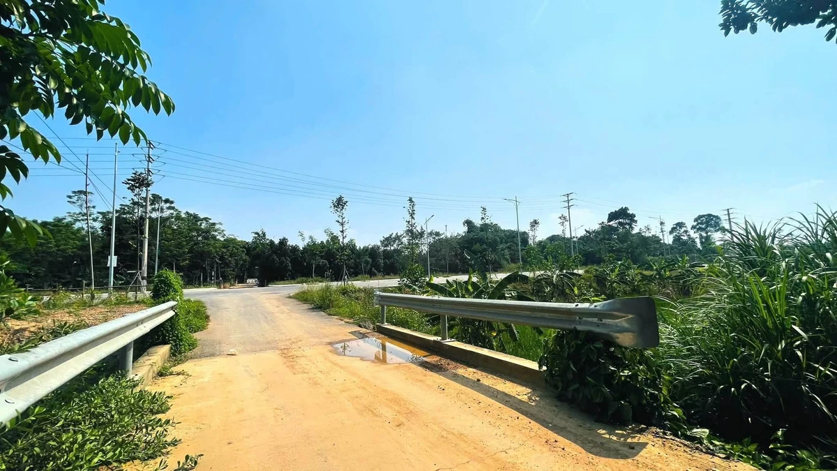 Bán đất 270m² mặt tiền 10m Lê Lợi Bình Chánh 6 tỷ - Ảnh thu nhỏ 2