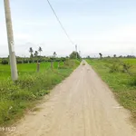 Bán đất lúa 1500m² Hàm Liêm Lâm Đồng 550 triệu - Ảnh thu nhỏ 1