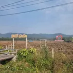 Bán đất nghỉ dưỡng 2600m² gần chùa Côn Sơn, Hải Phòng - Ảnh thu nhỏ 2