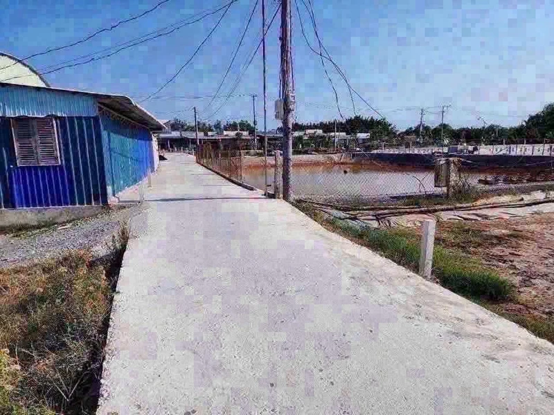 Bán đất 600m² toàn bộ thổ cư Tân Chánh, Cần Đước, Long An 1 tỷ 700 triệu
