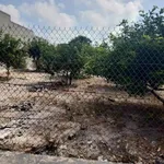 Bán gấp lô đất 630m2 gần UBND xã Xuyên Mộc, Bông Trang, Bà Rịa - Vũng Tàu giá 1,999 tỷ - Ảnh thu nhỏ 5