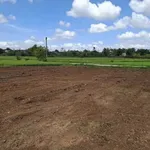 Bán đất view Sáp Hoà Khánh Nhà Bè 140m² giá 299 triệu - Ảnh thu nhỏ 3