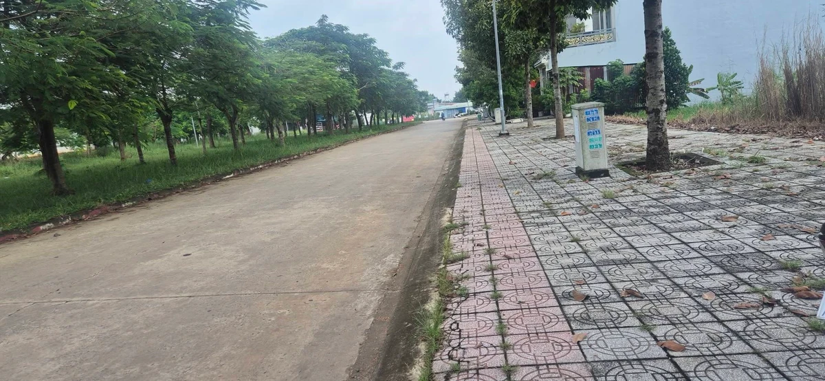 Bán đất Hàng Cây Phượng 5x20m giá 1150 triệu - Ảnh thu nhỏ 4