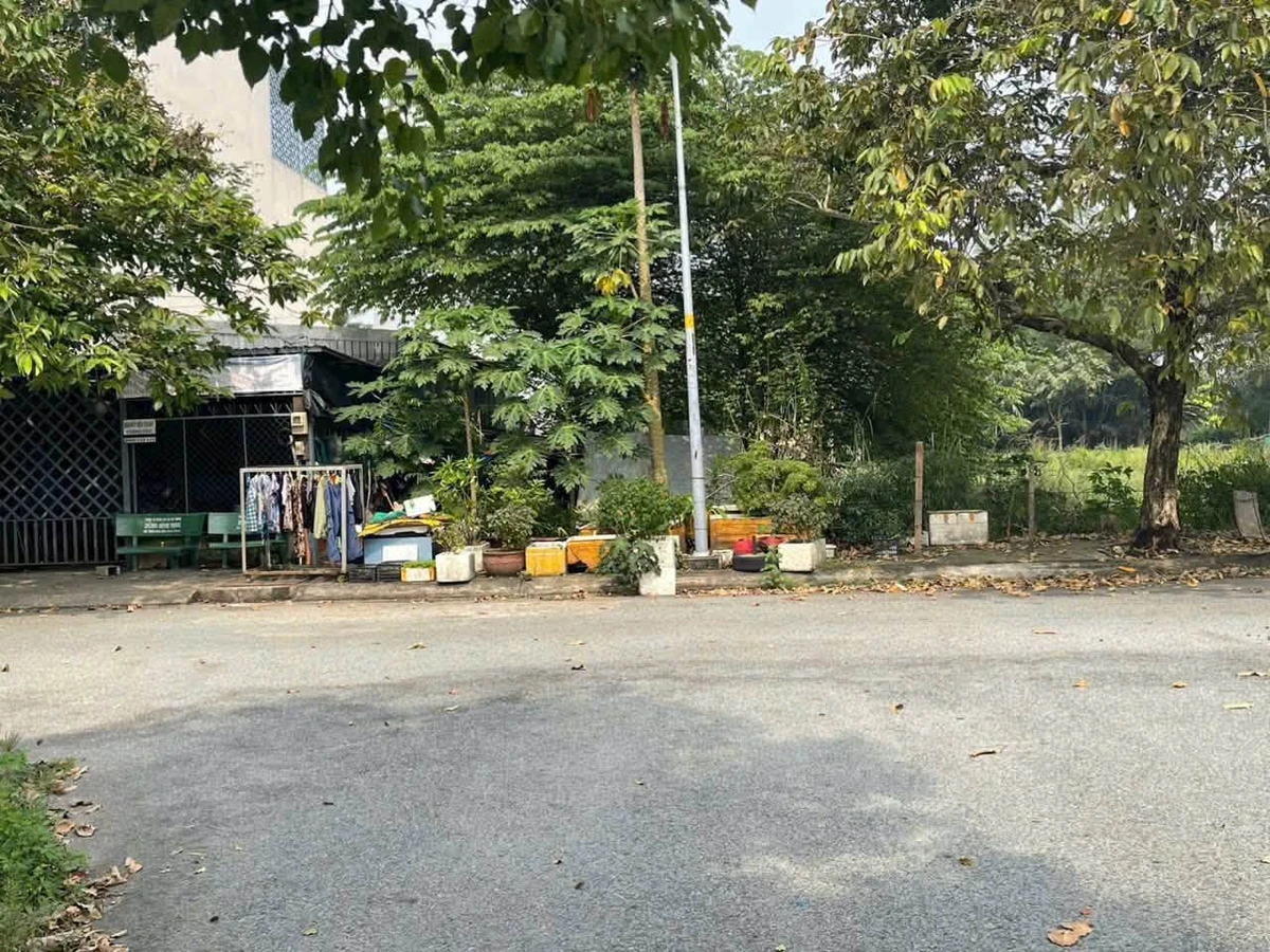 Bán nền đất 5x20m 100m² đường 1B KDC An Phú Tây 47ha, giá 3,6 tỷ - Ảnh thu nhỏ 2