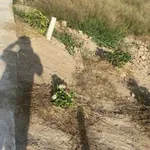 Bán đất nền gần 500m2 đất CLN hẻm nhánh Rạch Ngã Bát, Phú Thứ, Cái Răng, Cần Thơ - Ảnh thu nhỏ 4