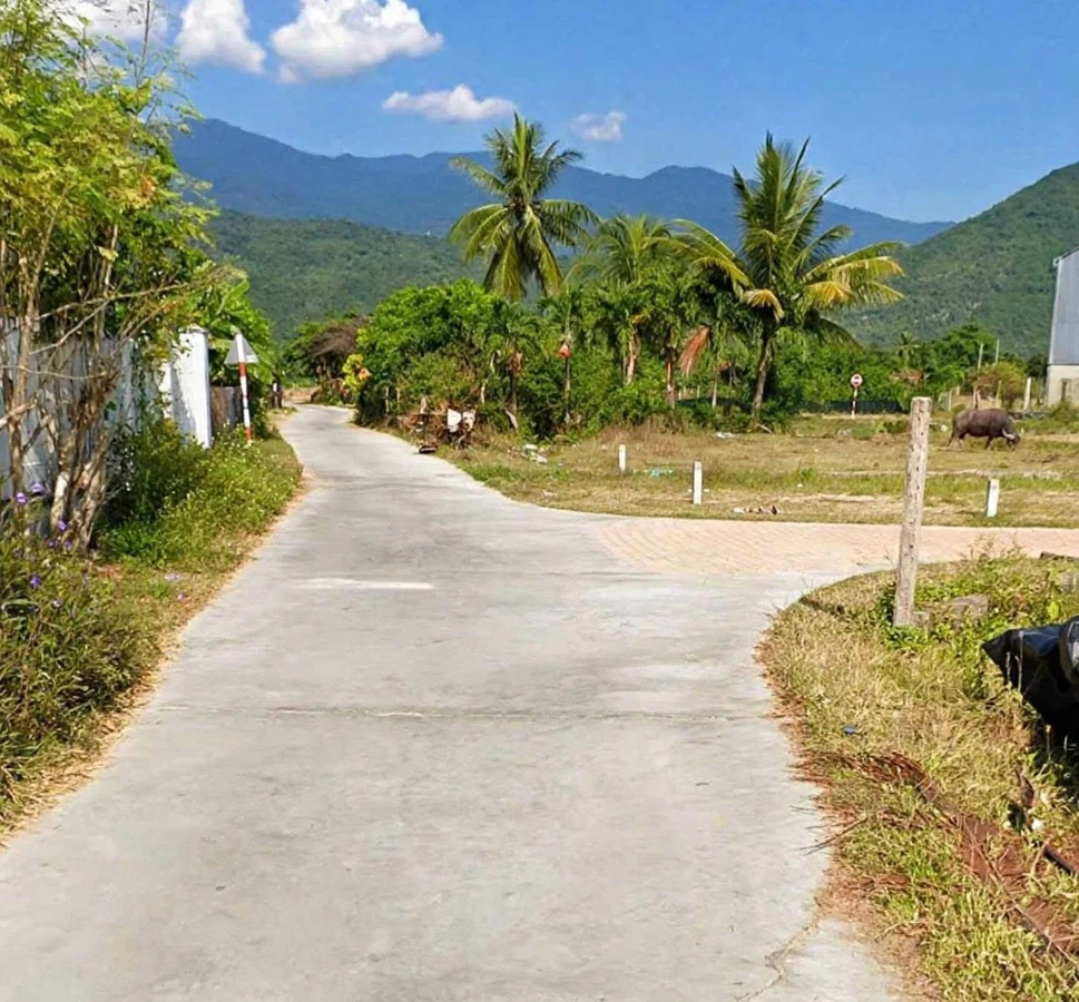 Bán đất ở 250m² Ninh Hòa, Khánh Hòa - Ảnh thu nhỏ 2