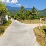 Bán đất ở 250m² Ninh Hòa, Khánh Hòa - Ảnh thu nhỏ 2